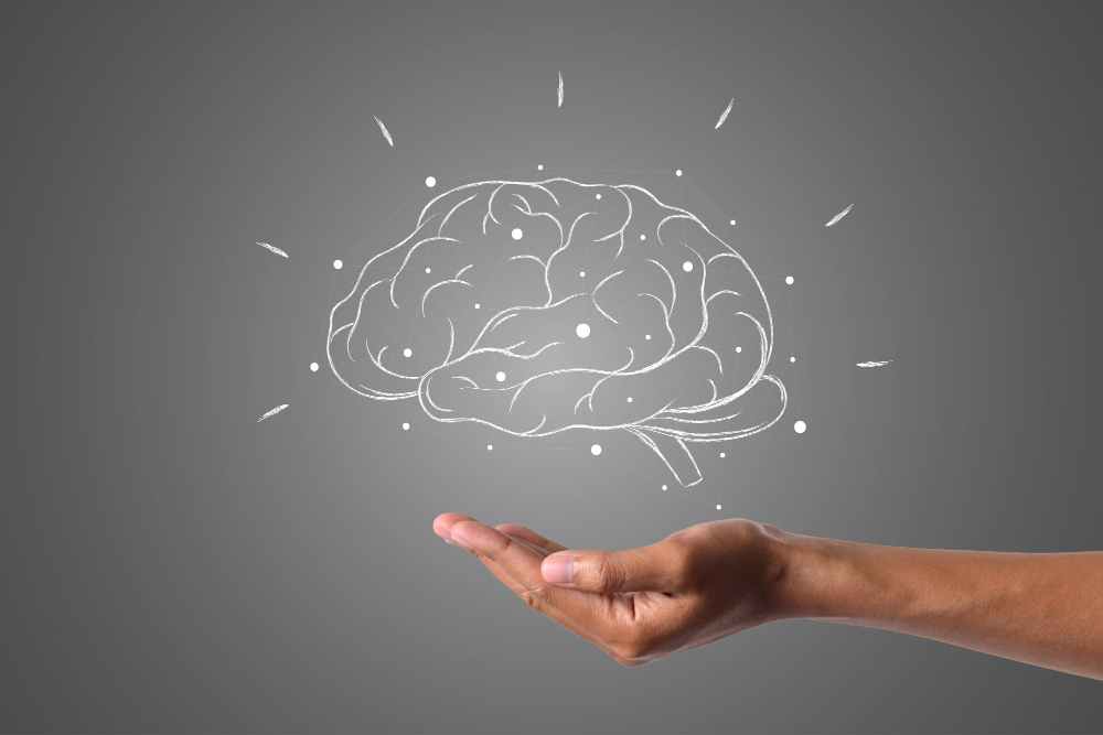 que es el PNL y cerebro en ilustración sostenido por mano